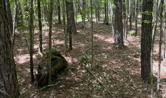 60150 N Harmony Rd, Amory, MS 38821