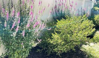 15217 Keppen, Allen Park, MI 48101