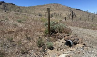 930 Cavelti Rd, Gardnerville, NV 89410