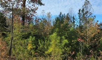 Parcel B Patrick Henry Highway, Amelia, VA 23002