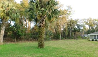 4184 NE 138TH Pl, Anthony, FL 32617