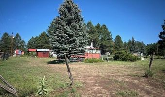 14 County Road 2117, Alpine, AZ 85920
