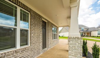 12526 TEA OLIVE Cv, Arlington, TN 38002