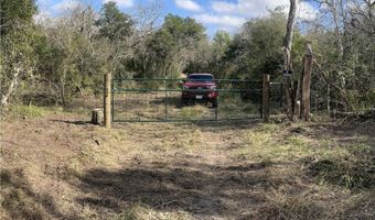 16 89 Acres N Hwy 281 Lot 0, Alice, TX 78332