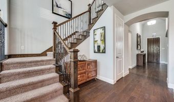 3732 Winchester, The Colony, TX 75056