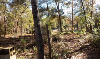 11090 107 Ter, Archer, FL 32618