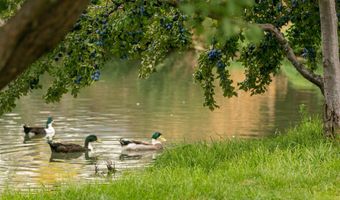 4799 A & B River Rd, Buhl, ID 83316