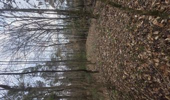 U.S. Highway 51, Bogue Chitto, MS 39629