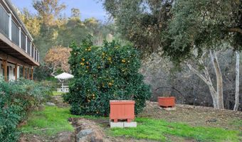1165 Midway Dr, Alpine, CA 91901
