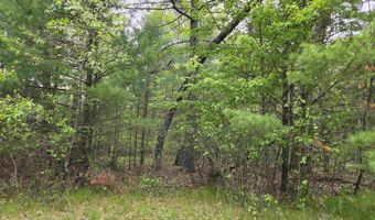 S Badger Lane lot 38, Arkdale, WI 54613