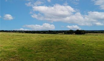 Tbd Tract 4 Fm-2819, Anderson, TX 77830