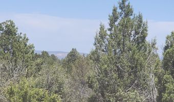 Ranch And Cattle lot 13, Ash Fork, AZ 86320