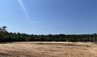 TBD Santee Rd, Andrews, SC 29510