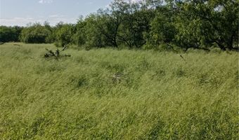 364 Deer Meadows Dr Lot 24, Alice, TX 78332