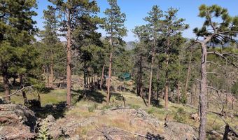 Old Camp Rd, Bellvue, CO 80512