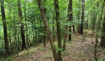 399 Wakefield Ln, Brookhaven, MS 39601