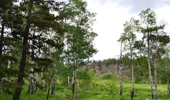 1256 Basking Dog Rd, Bellvue, CO 80512