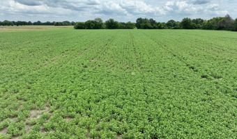 290 CR, Asbury, MO 64832