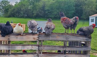 4775 S 50th Rd, Aldrich, MO 65601