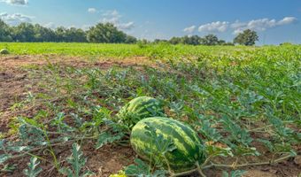 10 AC Avenue B, Atwood, OK 74827