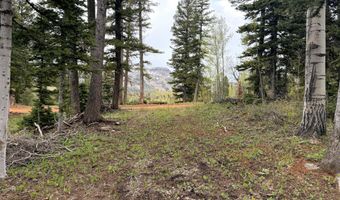 646 W Ski View Dr, Brian Head, UT 84719