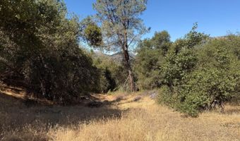 41902 Woodward Way, Ahwahnee, CA 93601