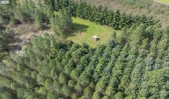 Three Trees Ln, Amity, OR 97101