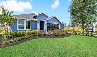 1008 River Coral Ln, Alvin, TX 77511