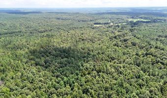 Pleasant Hill Road, Ashland, MS 38603