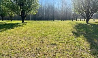 590 TOWBOAT Ln, Adamsville, TN 38310
