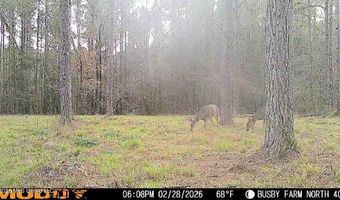 U.S. Highway 51, Bogue Chitto, MS 39629