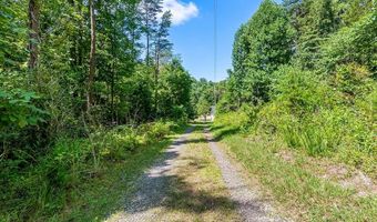 309 Timber Rd, Barren Springs, VA 24313