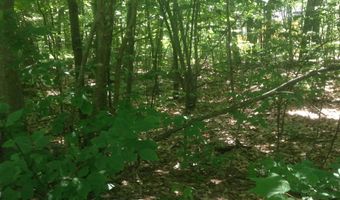 72-2 Frohock Brook Rd, Alton, NH 03810