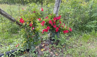 320 Tyree Rd, Annville, KY 40402
