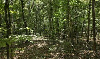 416 Summers Ln, Brookhaven, MS 39601