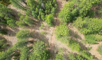 NNA USFS 2550 40 acres, Blanchard, ID 83804