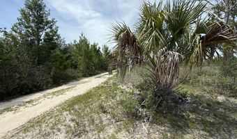 19660 NW Alice Vreeland Rd, Altha, FL 32421