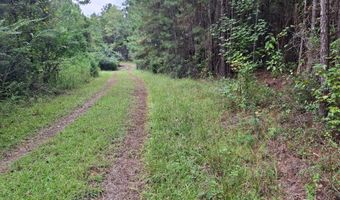 TBD Oglethorpe Dr, Andrews, SC 29510