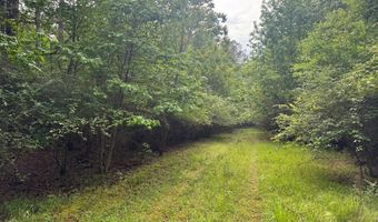 2780 Jackson Liberty Rd, Bogue Chitto, MS 39629