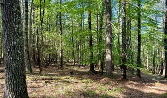 54 Cliff Rd, Accord, NY 12404
