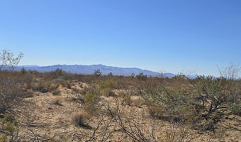 19688 S Diamondback Rd, Yucca, AZ 86438