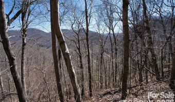 11 Taryn Trce 16, Barnardsville, NC 28709