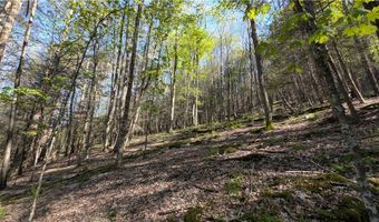 East River Road lot 5, Andes, NY 13731