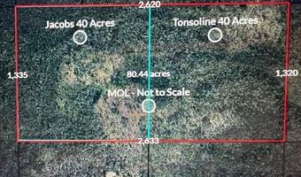 00 NW Camp Head Rd, Altha, FL 32421