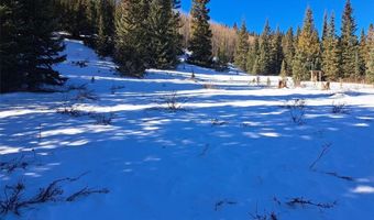 3553 RIVER Dr, Alma, CO 80420