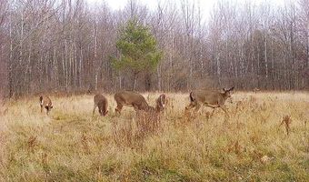 181 Gray Rd, Altamont, NY 12009