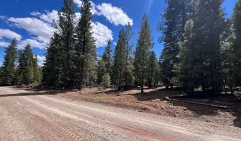 Reno Rd, Alturas, CA 96101