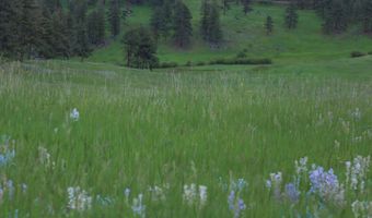 14884 Rist Canyon Rd, Bellvue, CO 80512
