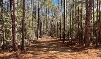 Chief Rd, Abbeville, AL 36310