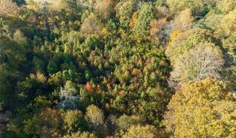 286 Lowry St, Ball Ground, GA 30107